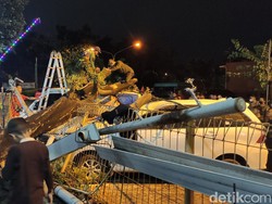 Dua Mobil Tertimpa Pohon Tumbang Gegara Angin Kencang di Sidoarjo
