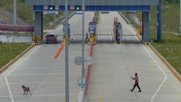 Saat Kambing Mau Ikut Jajal Tol Sigli-Banda Aceh Seksi II