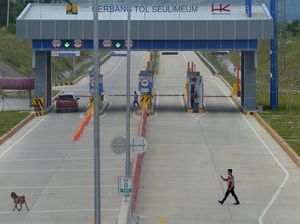 Saat Kambing Mau Ikut Jajal Tol Sigli-Banda Aceh Seksi II