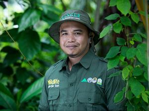 Kisah Pria Penyelamat Badak Sumatera, Diganjar Penghargaan Internasional