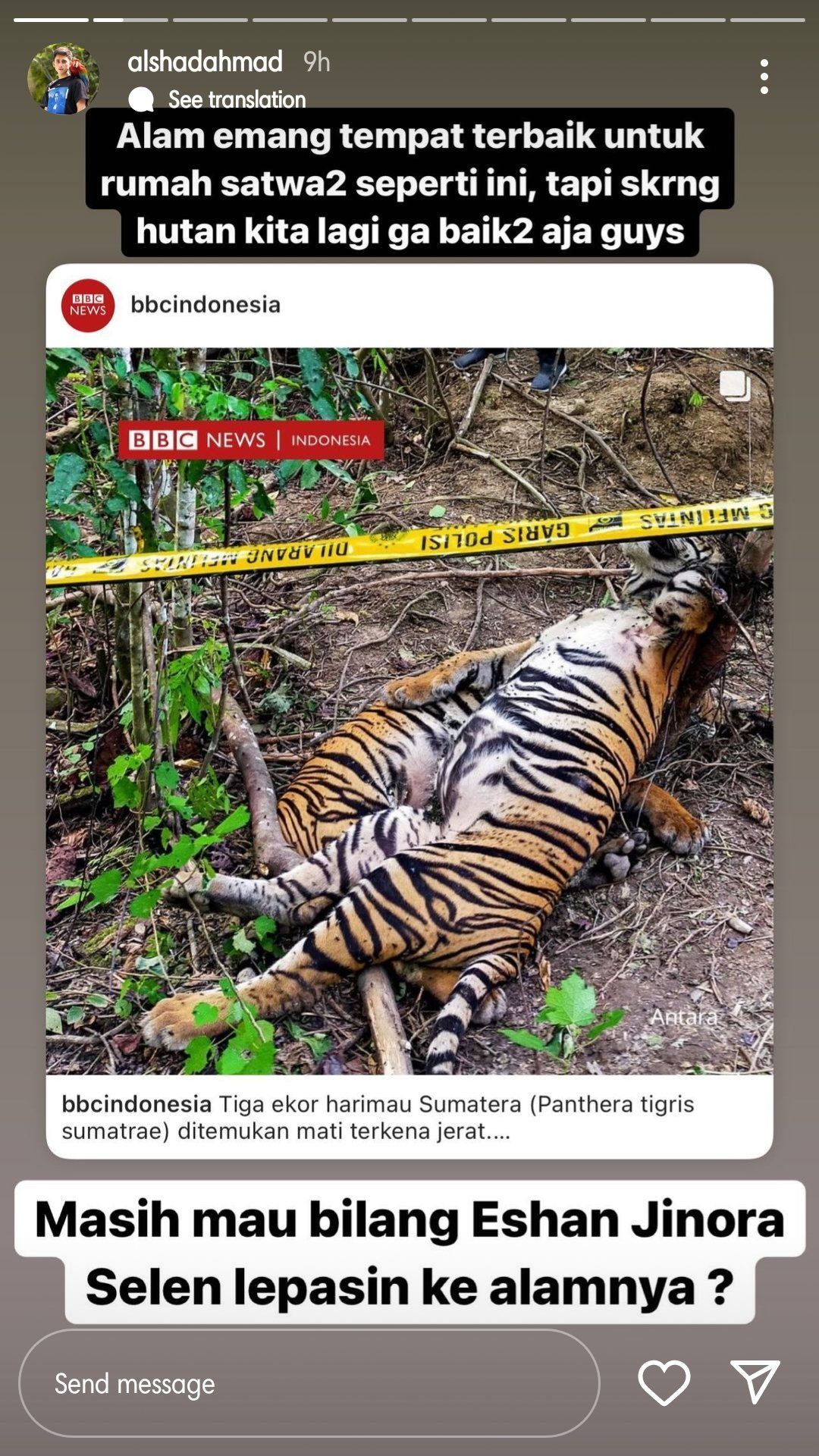 Komentar Alshad Ahmad soal kematian tiga harimau