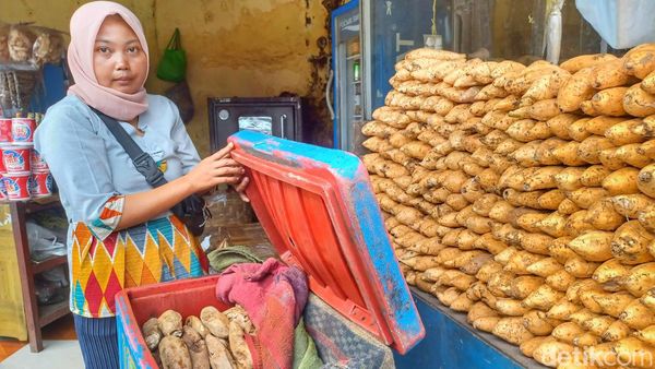 Berburu Ubi Cilembu, Oleh-oleh Pemudik di Jalur Nagreg