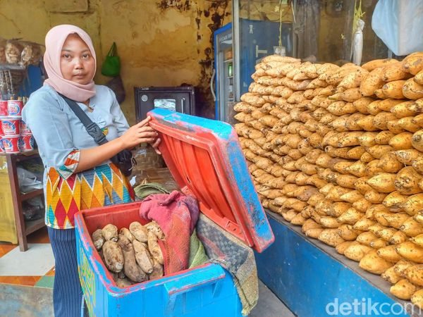 Berburu Ubi Cilembu, Oleh-oleh Pemudik di Jalur Nagreg