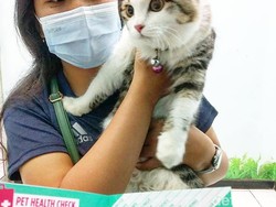 Ternyata! Ini Penyebab Manusia Bisa Rindu Hewan Peliharaan