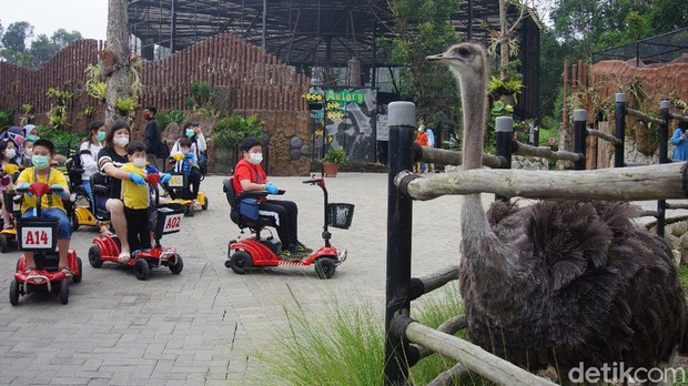 Lembang Park Zoo/Foto : travel.detik.com/Whisnu Pradana