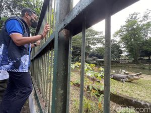 45 Ribu Pengunjung Bakal Sesaki Ragunan di Hari Pertama Lebaran