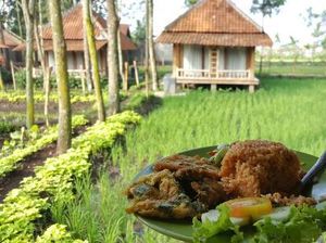 Mudik Lewat Garut? Ini 5 Tempat Makan Nasi Liwet dan Sate Maranggi Enak Mudik Lewat Garut? Ini 5 Tempat Makan Nasi Liwet dan Sate Maranggi Enak