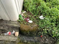 Miris! Sampah Sisa Makanan hingga Popok Berserakan di Pinggir Tol Japek