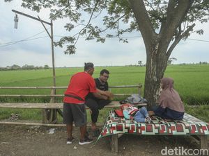Sejenak Melepas Penat di Tepi Sawah Jalur Pantura