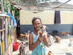 Kisah Sumiati, Hidup Sebatang Kara-Pelihara 65 Anjing Terlantar
