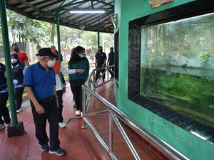 Maruf Amin Cek Persiapan Ragunan Hadapi Libur Lebaran, Ingatkan soal Prokes