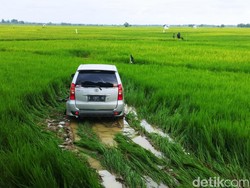 Avanza Terjun ke Sawah Usai Adu Banteng dengan Motor di Sampang