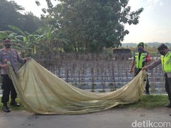 Balon Udara yang Sempat Terbang di Langit Ponorogo Diamankan Polisi