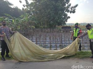 Balon Udara yang Sempat Terbang di Langit Ponorogo Diamankan Polisi Balon Udara yang Sempat Terbang di Langit Ponorogo Diamankan Polisi
