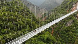 Jembatan Kaca Terpanjang di Dunia yang Cantik tapi Mencekam