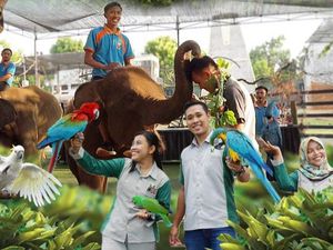 Pasti Seru Liburan di Mazoola Lamongan Saat Lebaran, Simak Harga Tiketnya Pasti Seru Liburan di Mazoola Lamongan Saat Lebaran, Simak Harga Tiketnya