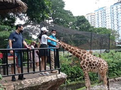 Yayasan Margasatwa Gugat Pemkot Bandung ke Pengadilan Negeri
