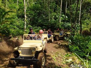 Asyiknya Keliling Naik Mini Jip di Kawasan Tumpeng Menoreh