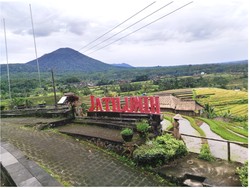 Mengenal Subak Jatiluwih, Penghasil Beras Unggulan-Warisan Budaya UNESCO