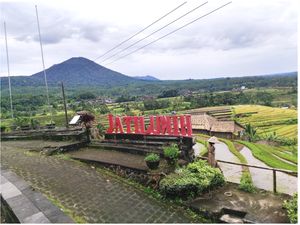 Mengenal Subak Jatiluwih, Penghasil Beras Unggulan-Warisan Budaya UNESCO Mengenal Subak Jatiluwih, Penghasil Beras Unggulan-Warisan Budaya UNESCO