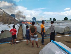 3 Gudang Tembakau di Jember Ludes Terbakar