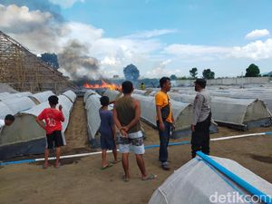 3 Gudang Tembakau di Jember Ludes Terbakar 3 Gudang Tembakau di Jember Ludes Terbakar