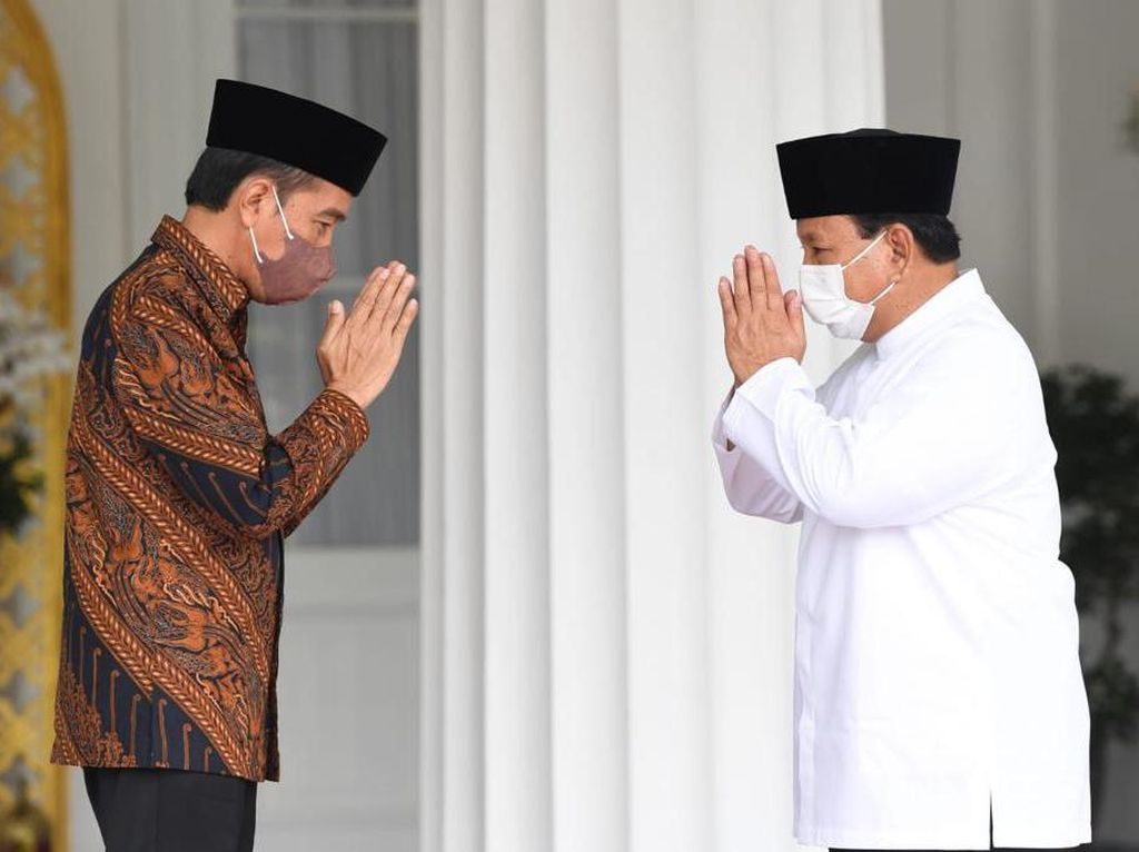 Gerindra Ungkap Alasan Prabowo Bertemu Jokowi Sore Jelang Reshuffle