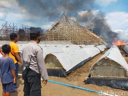 Kerugian Kebakaran 3 Gudang Tembakau di Jember Capai Rp 350 Juta