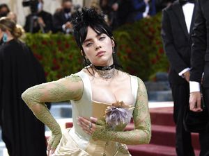 Rumah Billie Eilish Kemalingan, Pelaku Ditangkap