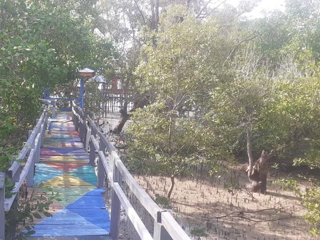 Rileks Sejenak Habiskan Waktu di Ekowisata Mangrove Oesapa