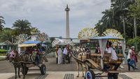 Kusir Delman Bakal Tak Bisa Lagi Kejar Rupiah di Kawasan Monas