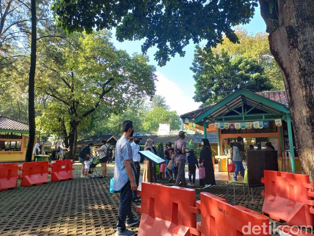 Taman Margasatwa Ragunan Buka, Hari Ini Pengunjung Ramai