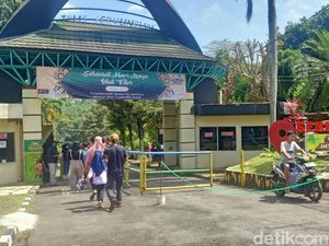 Info Dab! Ada Lowongan Kerja di Serulingmas Zoo, Ini Posisi-Syaratnya Info Dab! Ada Lowongan Kerja di Serulingmas Zoo, Ini Posisi-Syaratnya