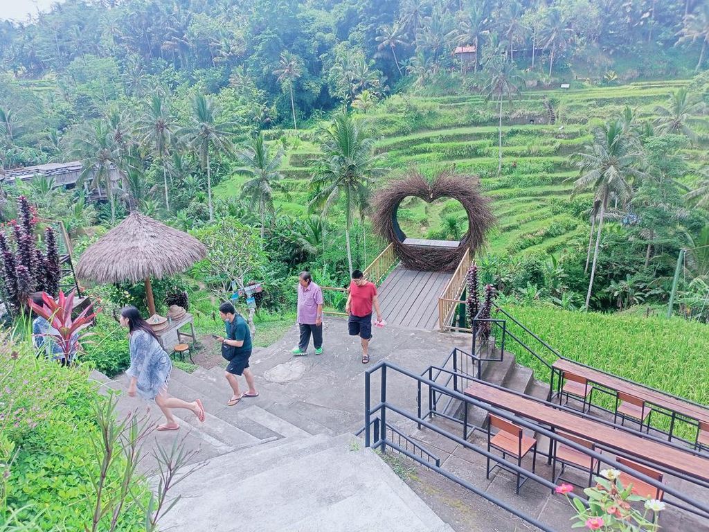 Menyusuri Ceking Tegallalang Rice Terrace, Foto dengan View Persawahan