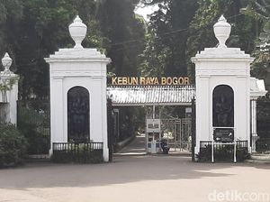 Tiket Online Kebun Raya Bogor: Harga dan Cara Belinya
