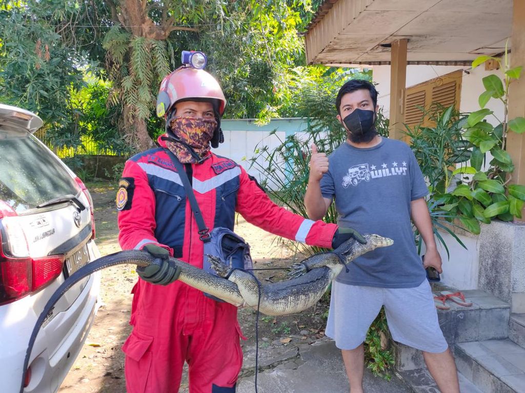 Heboh Biawak Masuk Rumah Warga di Makassar, Butuh 4 Petugas Amankan Heboh Biawak Masuk Rumah Warga di Makassar, Butuh 4 Petugas Amankan