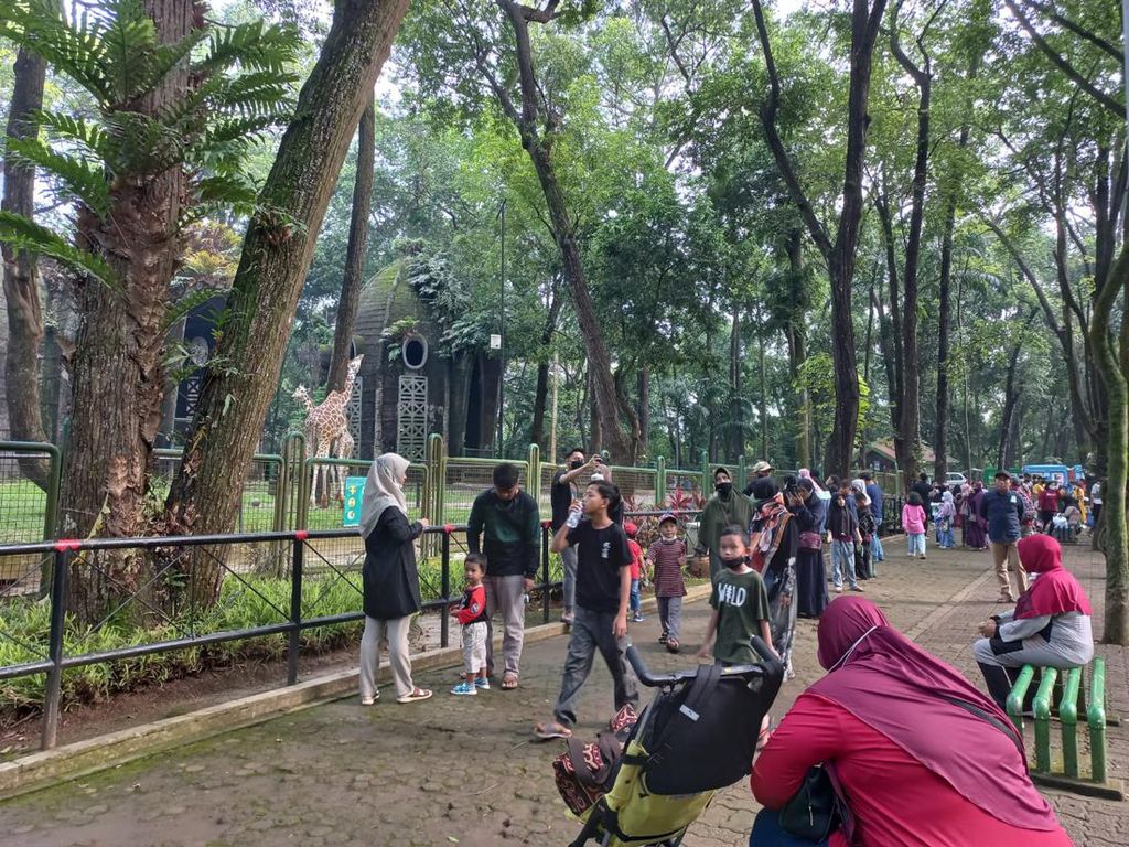 Taman Margasatwa Ragunan Ramai Didatangi Pengunjung Hari Ini