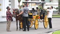 Potret Jan Ethes-Sedah Mirah Ikut Jokowi Sapa Warga Saat Lebaran