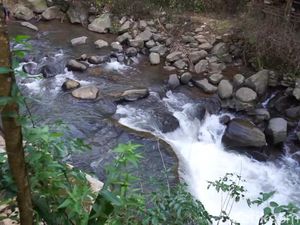 Tenaga Eksogen: Pengertian, Proses Terbentuk, dan Dampaknya Tenaga Eksogen: Pengertian, Proses Terbentuk, dan Dampaknya