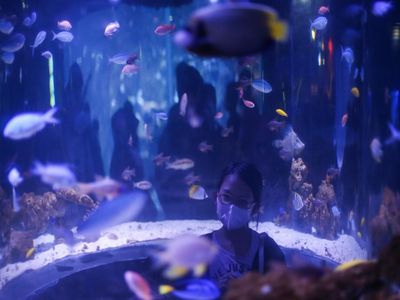 Wisata di Jakarta Laris Manis Saat Libur Lebaran