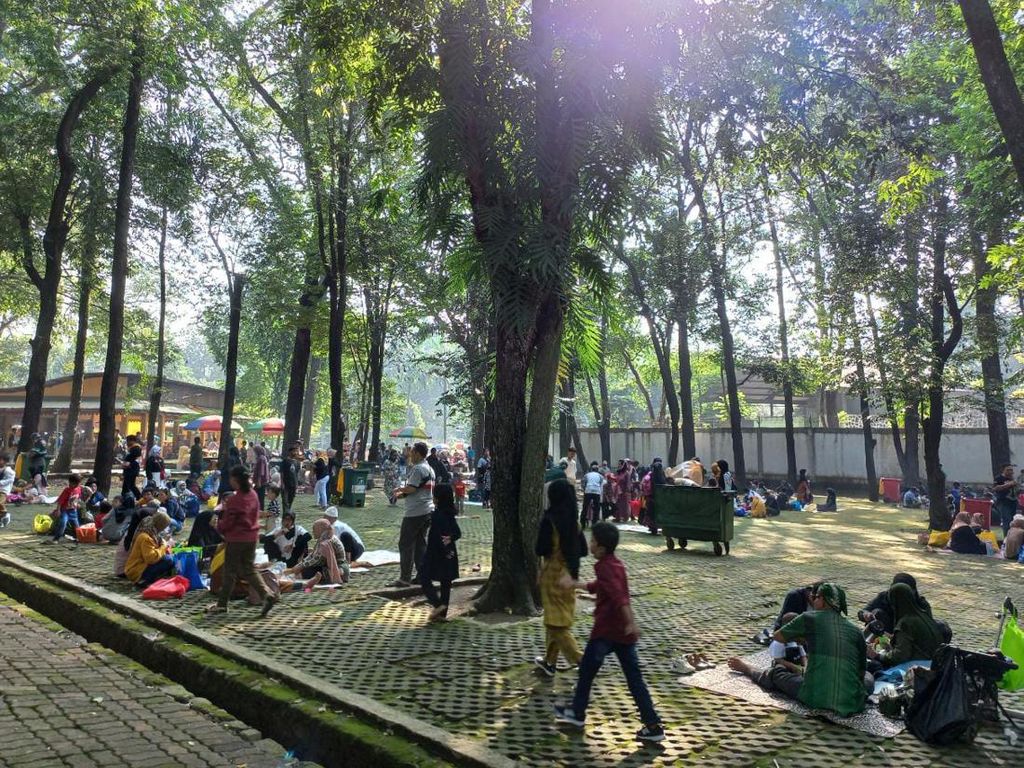 Pengelola Ungkap 15.685 Orang Kunjungi Ragunan Pagi Ini-Tiket Sudah Habis Pengelola Ungkap 15.685 Orang Kunjungi Ragunan Pagi Ini-Tiket Sudah Habis