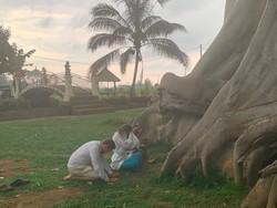 Bule Telanjang di Pohon Sakral Bali, Makanan Pesawat Rasanya Gak Enak