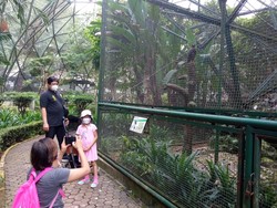 Bawa Anak dari Cirebon ke TMII, Ibu Ini Berwisata Sambil Edukasi