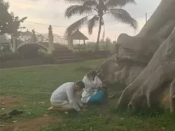 Bule Telanjang di Pohon Kayu Putih Tua Ditahan Bersama Suami