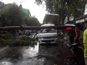 2 Mobil Tertimpa Pohon saat Hujan Lebat di Jalan Turi