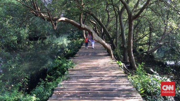 Taman Wisata Alam Angke Kapuk, Jakarta Utara, ramai dikunjungi wisatawan pada libur lebaran, Kamis (5/5). Lokasi ini dikenal sebagai kawasan konservasi alam mangrove yang dimanfaatkan untuk wisata dan rekreasi alam.