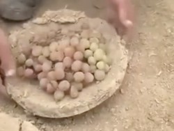 Kangina, Cara Alami Awetkan Buah Anggur hingga 6 Bulan Khas Afghanistan