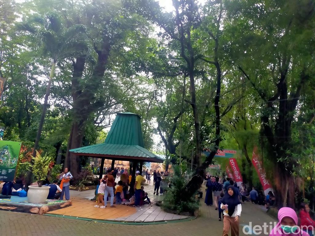 Momen Lebaran, Puluhan Ribu Orang Wisata di Kebun Binatang Surabaya