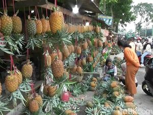 Oleh-oleh Nanas Madu Asli Subang Jadi Buruan Wisatawan