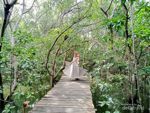 Apa Arti Prinsip Ekowisata dan Bagaimana Penerapannya?